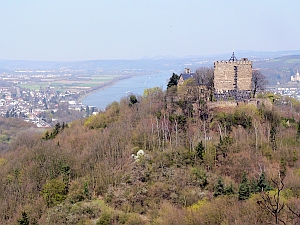 Burg Rheineck
